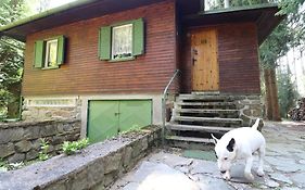 Chata Skřinářov